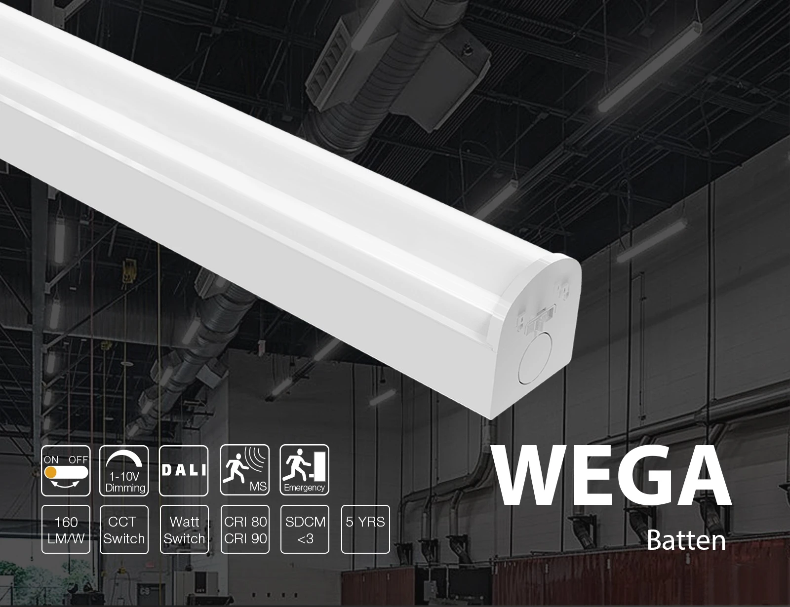 Wega01